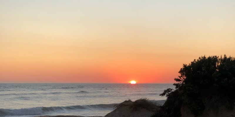 Photo by Brucethegoose