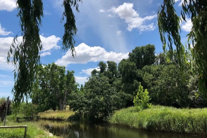 Photo by Brucethegoose