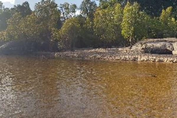 Photo by Olivia Bataligin Averkin