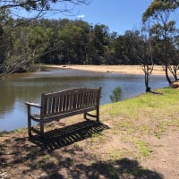 Photo by Alison Nobuhle Daneeli