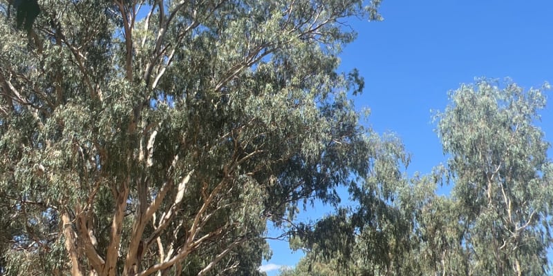 Photo by Nikolaas d.