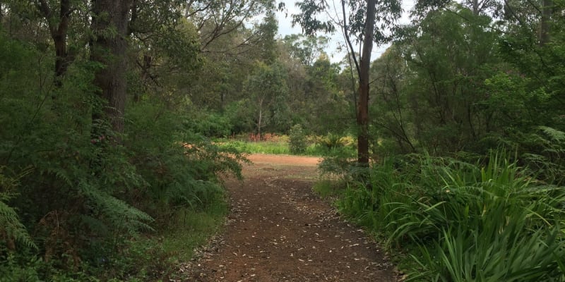 Photo by Milotte Elina Ekermann