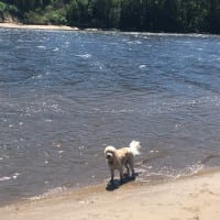 Photo by Sixpence C.