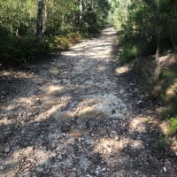 Photo by Samantha C.