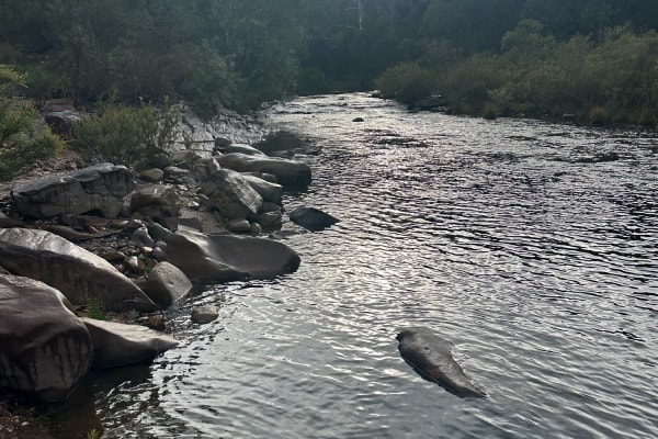 Photo by Dhanushka R.