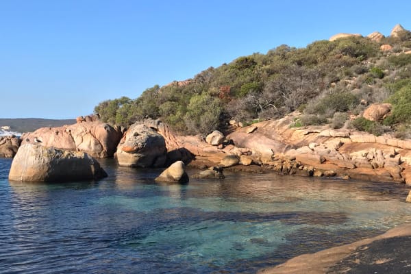 Photo by Rocío Labbé Cerda