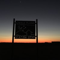 Photo by Kim & Shane