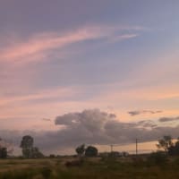 Photo by Michelle P.