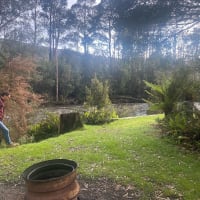 Photo by Samantha k.