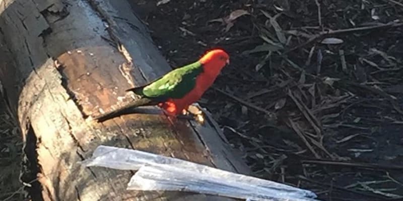 Photo by Muhammad T.