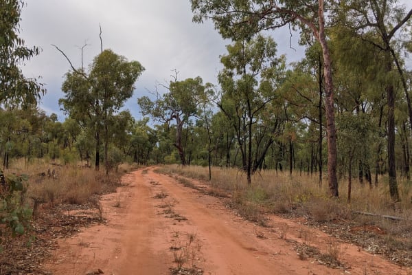 Photo by Corrinne A.