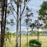 Photo by Andrew & kutti the kelpie
