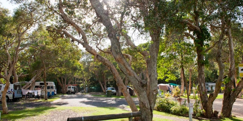 Photo by Michelle L.