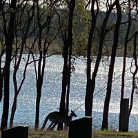 Photo by Cristina B.