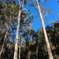 Photo by GetMeOffGrid