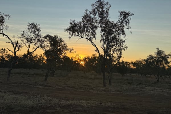 Photo by Vida van der Walt