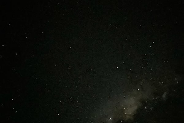 Photo by Chelsea and Jye