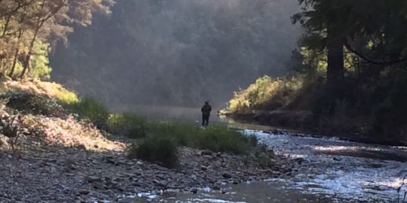 Photo by Mary-anne N.