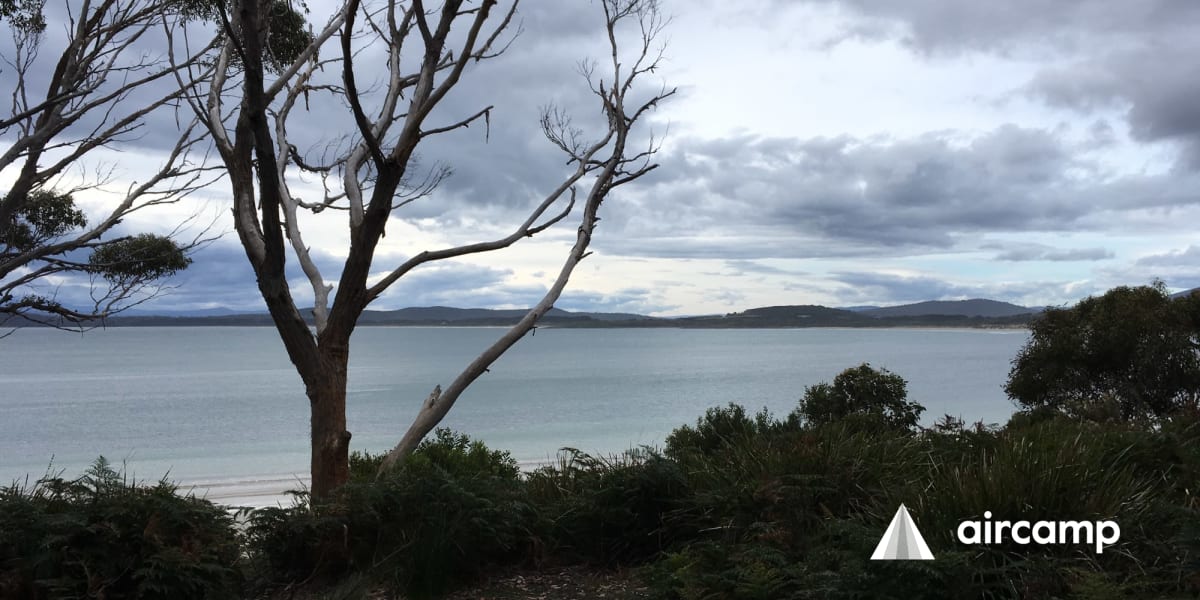 Cloudy Bay Camp