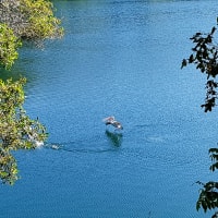 Photo by My Rig Adventures