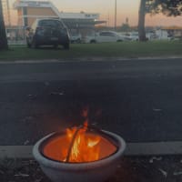 Photo by Michelle E.