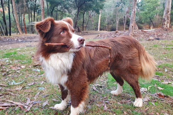 Photo by Lesley-ann k.