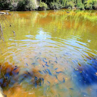 Photo by My Rig Adventures