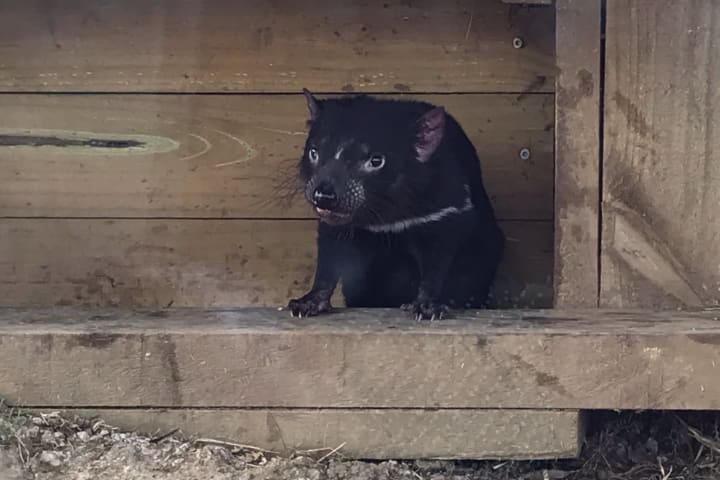 Photo by The blonde nomads