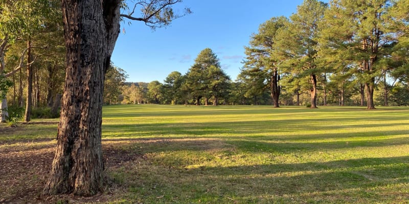 Photo by Michelle H.