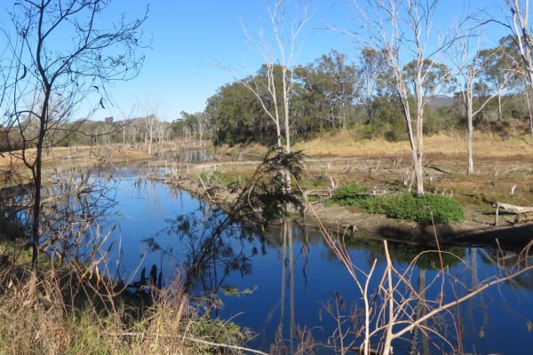 Photo by Christopher Mark Osborne