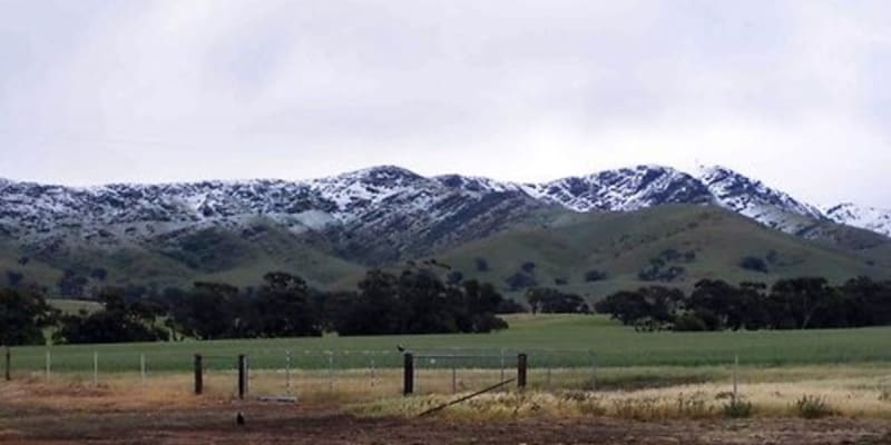 Photo by Kristine P.