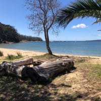 Photo by Alison Nobuhle Daneeli