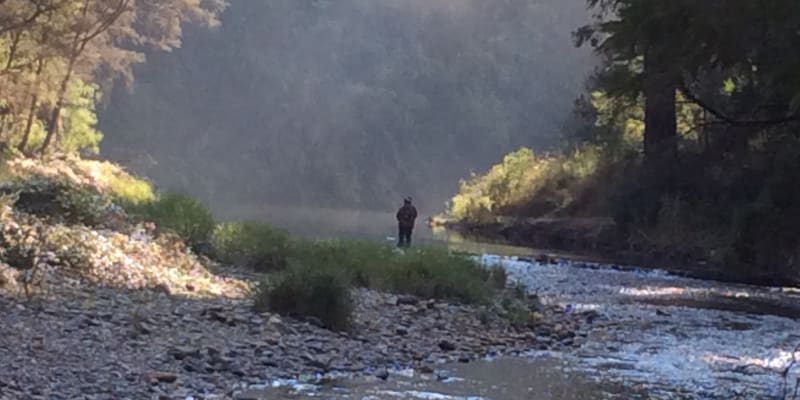 Photo by Mary-anne N.