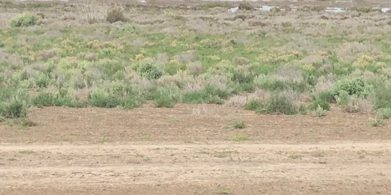 Photo by Christine W.