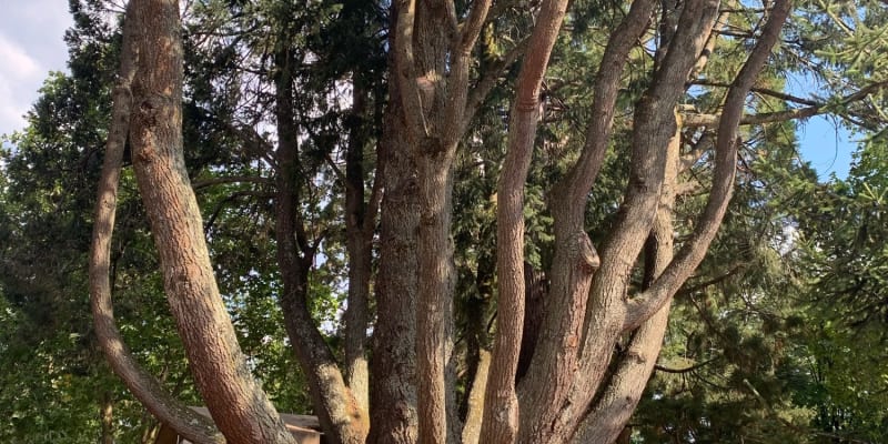 Photo by Kerri-lee M.