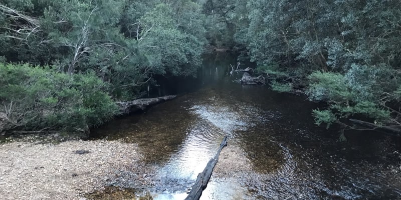 Photo by Stephanie L.