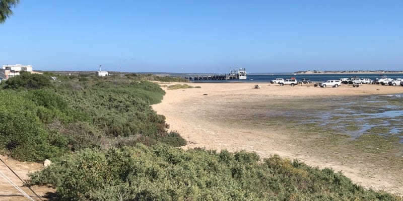 Photo by Nick van Reesema