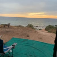 Photo by Lea Lea Knows