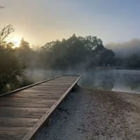 Photo by Victoria T.