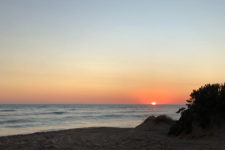 Photo by Brucethegoose