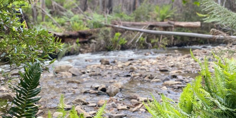 Photo by Caroline Retallick Flavel