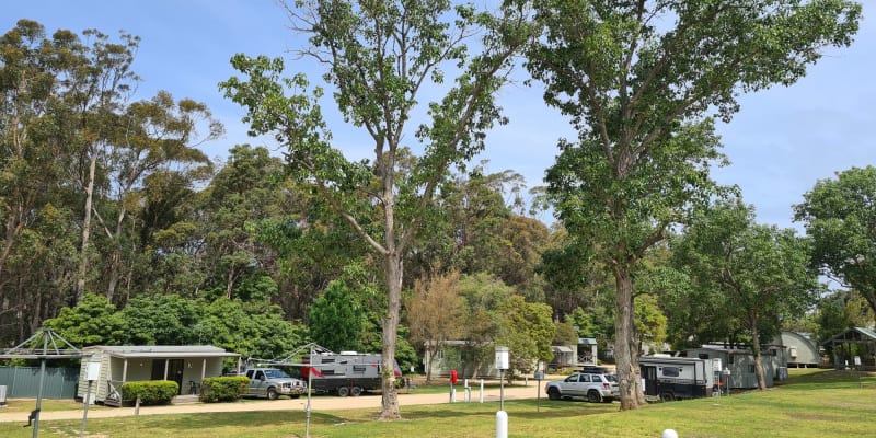 Photo by Kris McLeod (Filotimia Pty Ltd/Kekio Pty Ltd)