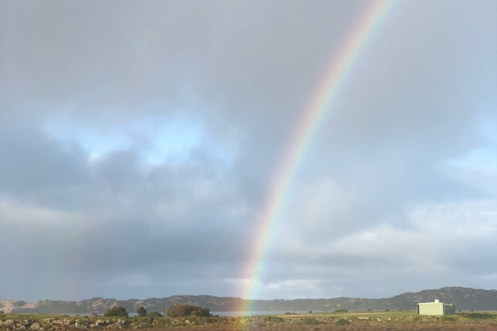 Photo by Brucethegoose