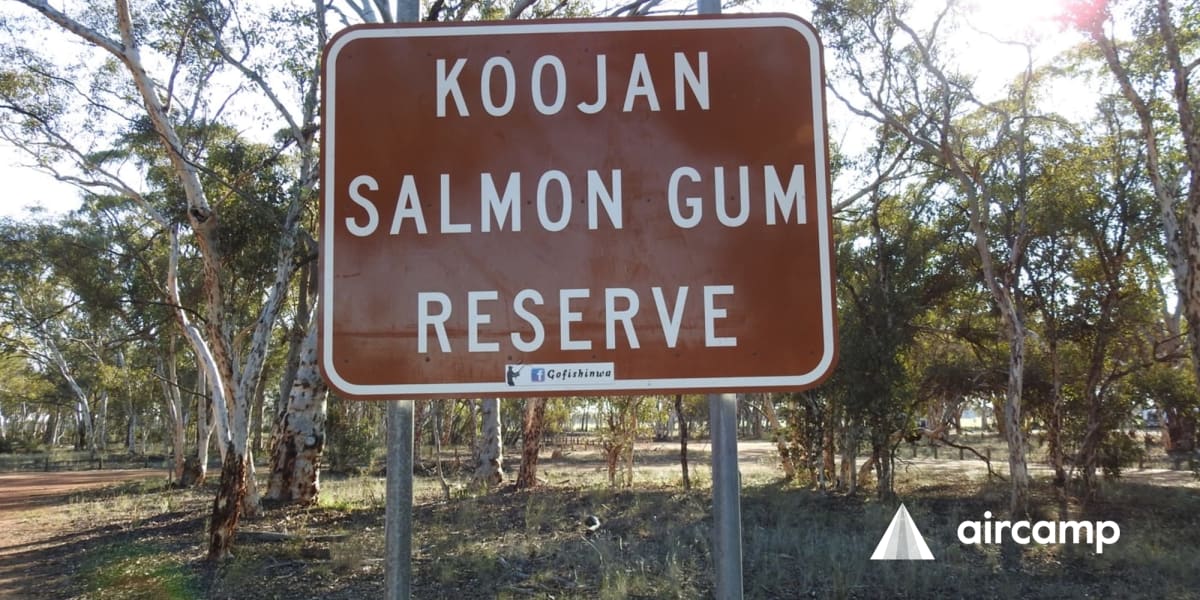 Koojan Salmon Gum Reserve