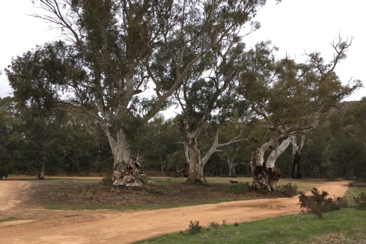 Photo by Francesca S.