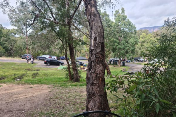 Photo by Stephanie L.