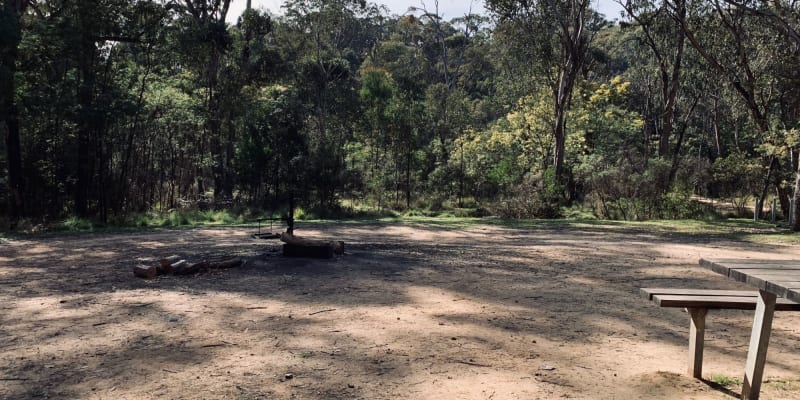 Photo of Yackandandah Creek Site 6