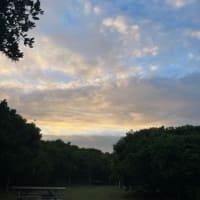 Photo by Ben + Elana