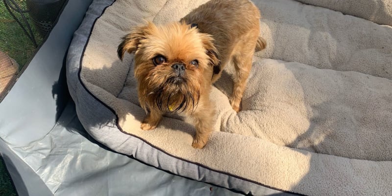 Photo by Michelle S.