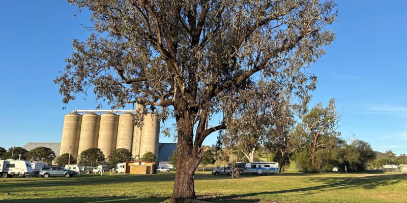 Photograph of Top 10 campsites with showers near Cobbadah, NSW